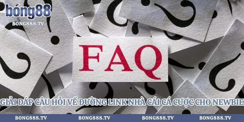 Fo88 - Giải Đáp Câu Hỏi Về Link Vào Nhà Cái Uy Tín 2026 Hình số 4 tại cfoforum.io Giải đáp câu hỏi về đường link nhà cái cá cược cho newbie