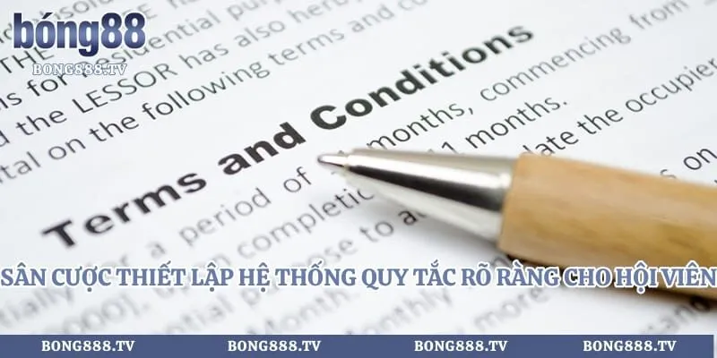 Điều khoản sử dụng Hình số 1 tại cfoforum.io Sân cược thiết lập hệ thống quy tắc rõ ràng cho hội viên